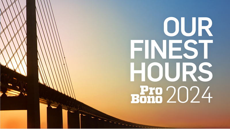 2024 Pro Bono Annual Review 2024 Pro Bono Annual Review