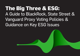 The Big Three & ESG The Big Three & ESG